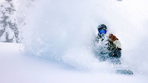 Rider with black helmet and brown and white jacket slashing in fresh powder