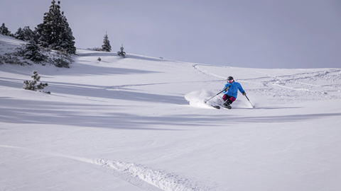 skier going down a ski slope making lines in fresh powder