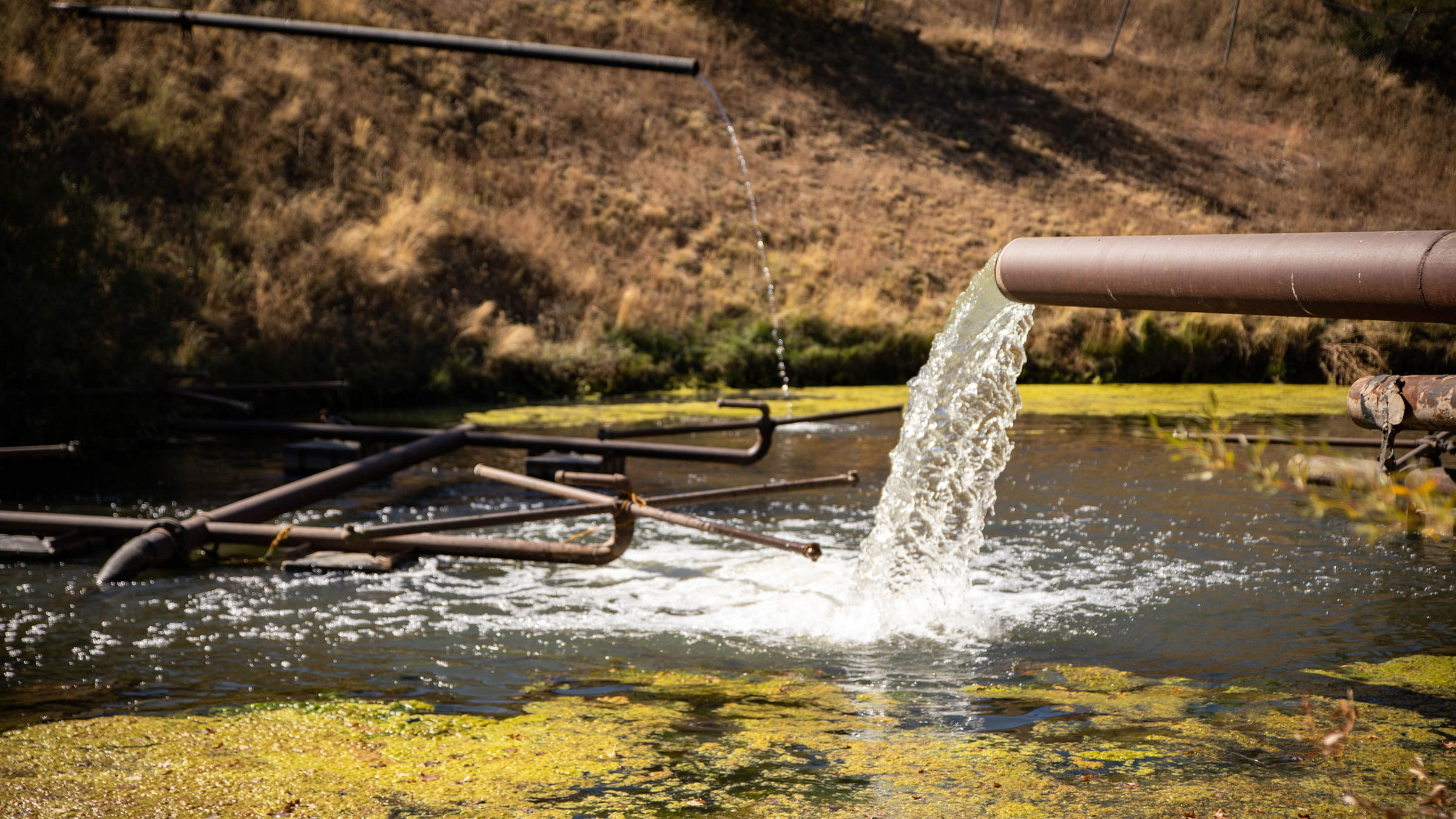 pond water with two pipes with water coming out of it