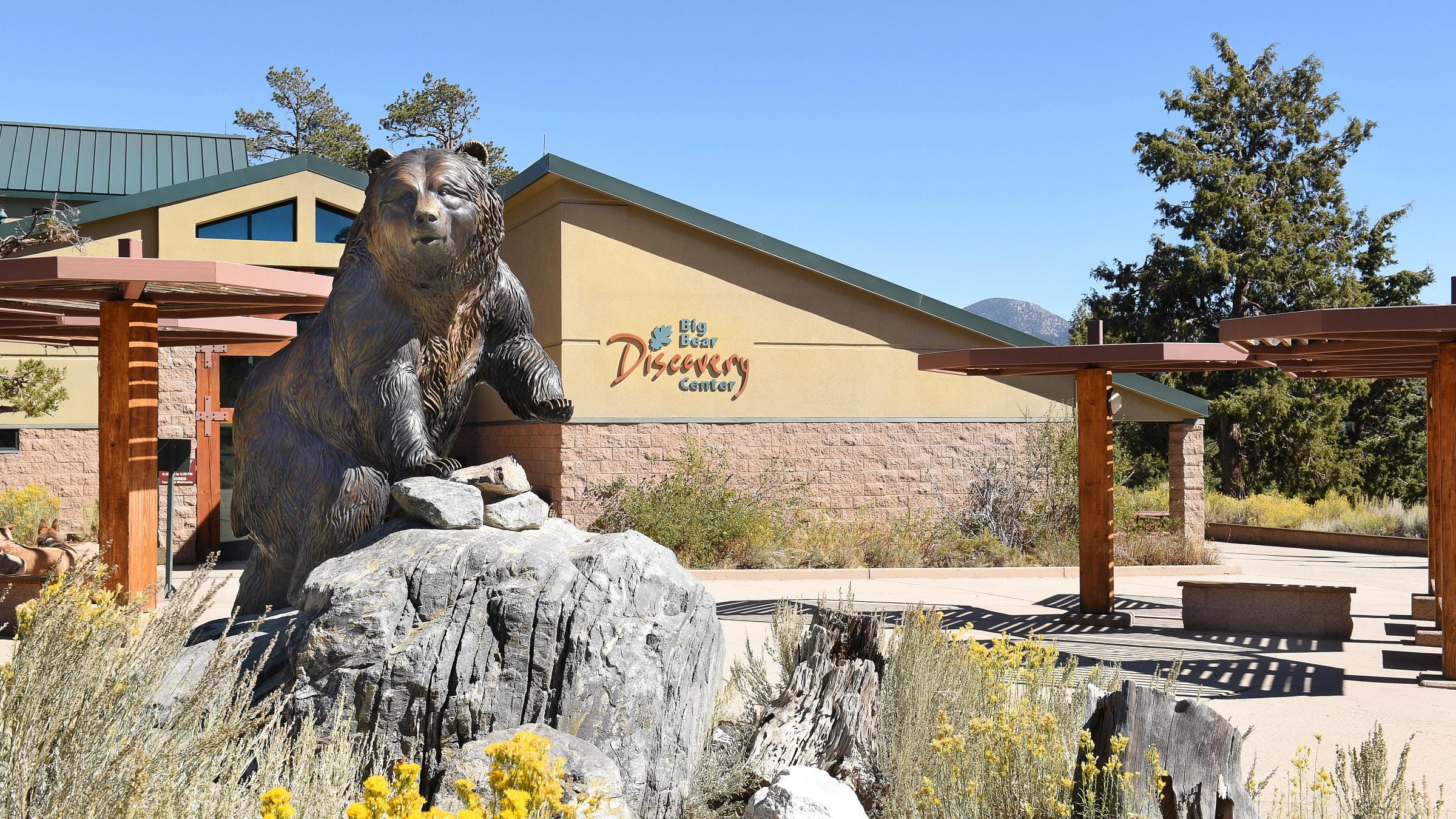 Big Bear discovery center