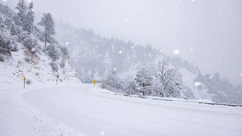 A windy alpine road near Big Bear Lake, California with trees lining the highway and a thick layer of snow on the ground during a snowstorm.