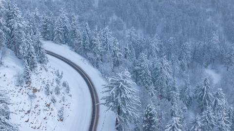 A left hand curve on a highway driving to Big Bear Lake after a fresh snowfall with white snow on the roads and tall alpine trees.