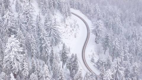 A windy mountain road with snow on the highway and covering the trees after a snowstorm.