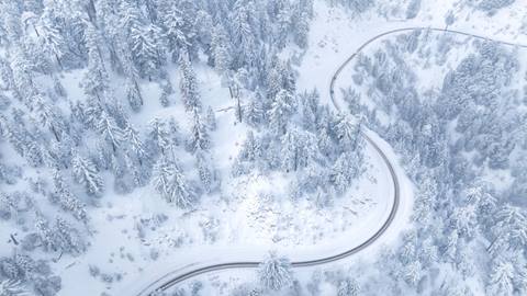 Drone view looking down onto a mountain highway after a snow storm that left white snow on the road and tall trees near Big Bear Lake, California.