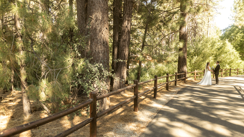 Bride and groom during their first look on a road in the forest